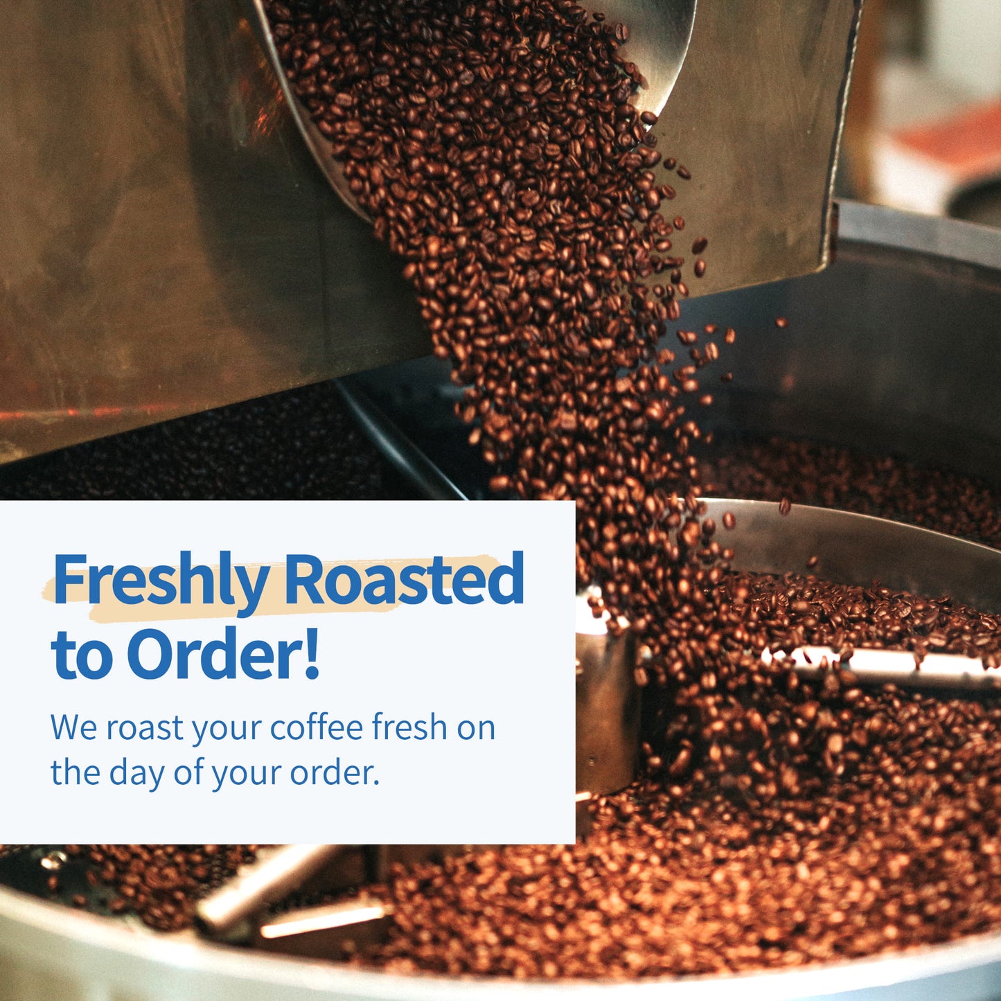 Bali Blue Moon Medium to Dark Roast Whole Bean Coffee 12 oz - Freshly Roasted to Order