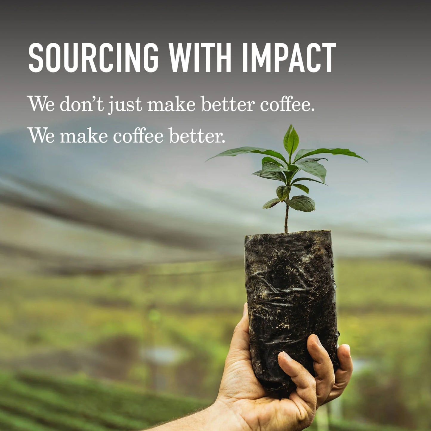 Peet's Coffee Organic French Roast Ground Coffee