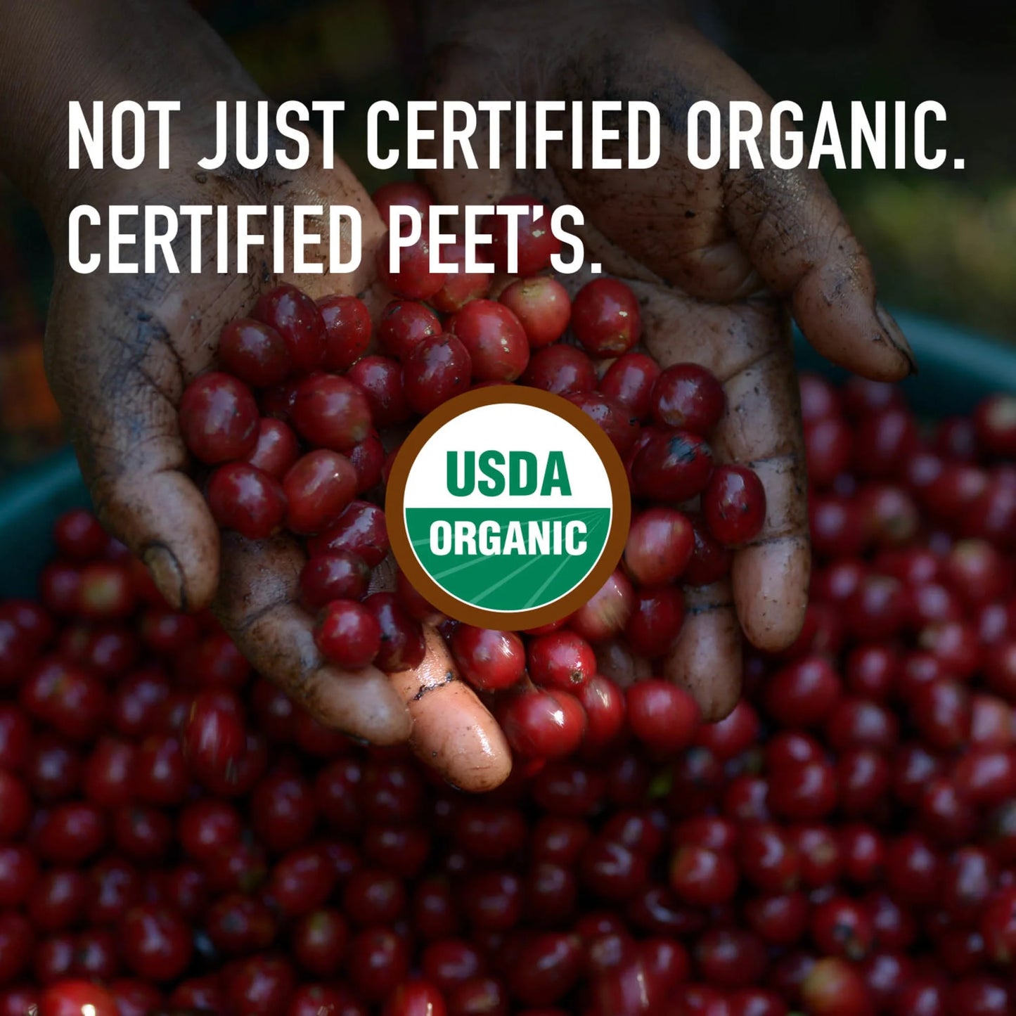 Peet's Coffee Organic French Roast Ground Coffee